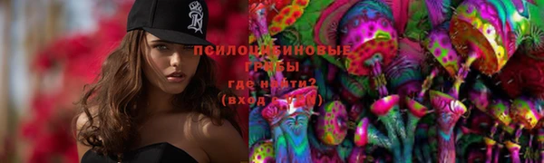 винт Алексин