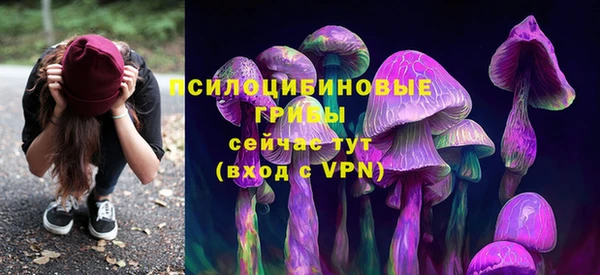 дурь Алексеевка